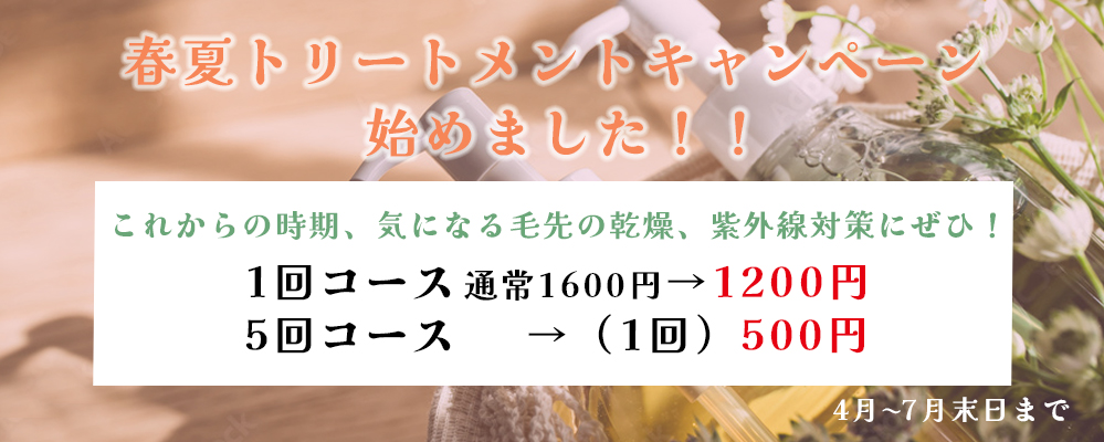 春夏トリートメント
